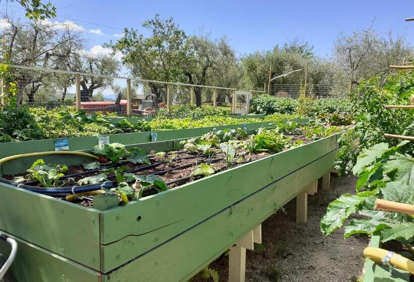 דירת פנטהאוז 1 חדרי שינה, La Fornella Dell Anita