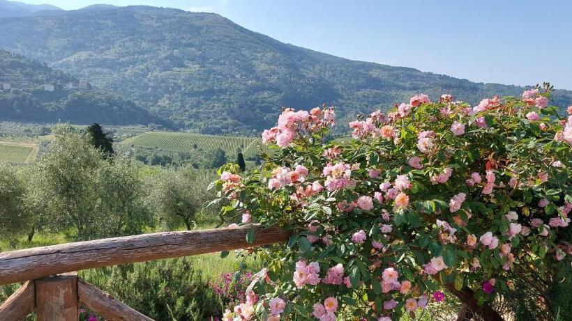 דירת פנטהאוז 1 חדרי שינה, La Fornella Dell Anita