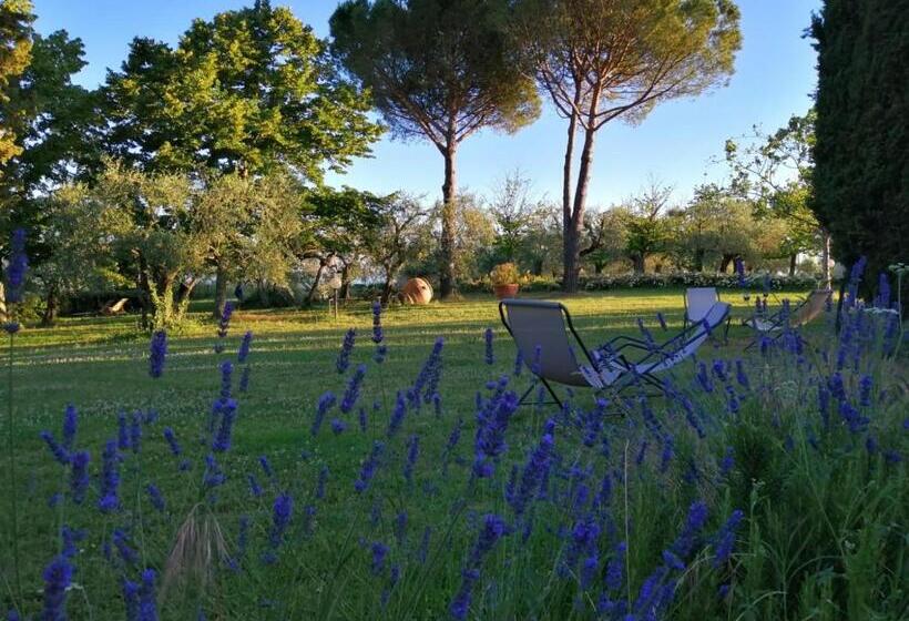 דירת חדר נוף לגינה, La Fornella Dell Anita