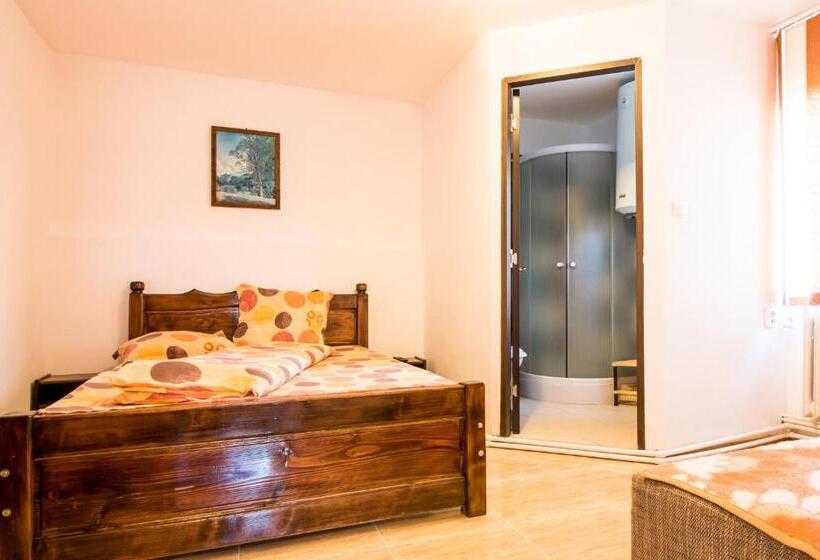 استودیو خانوادگی, Casa De Vacanta Jeny