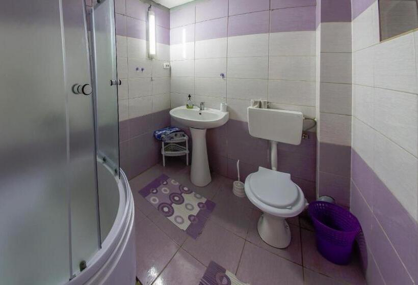 Студио Стандарт Кровать Кинг, Casa De Vacanta Jeny