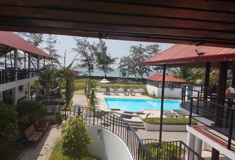 سوییت جونیور, Petit Elephant