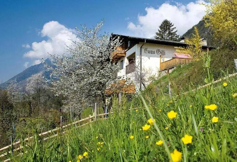 اتاق استاندارد, Haus Gilli