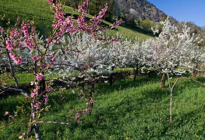 اتاق استاندارد یک نفره, Haus Gilli
