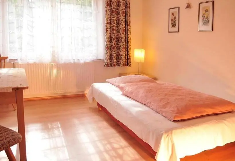 اتاق استاندارد یک نفره, Haus Gilli