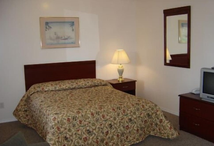 豪华套房, Beachside Motel