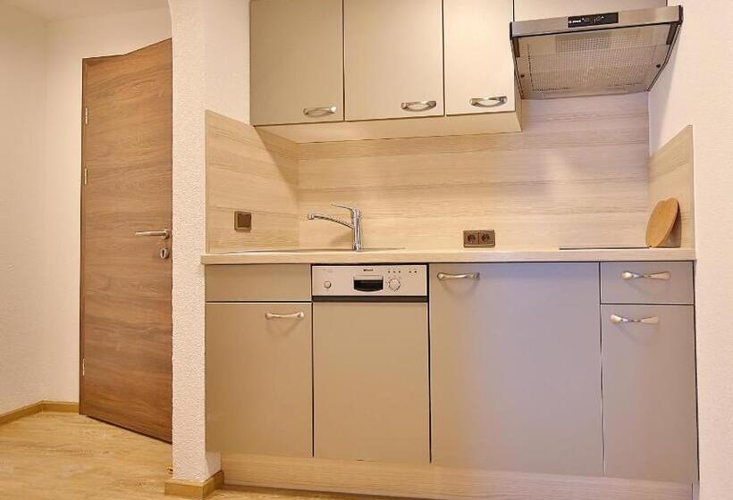 Апартаменты 1 Спальня, Garni Fiegl Apart