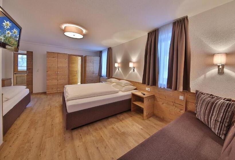 Студио Стандарт с Балконом, Garni Fiegl Apart