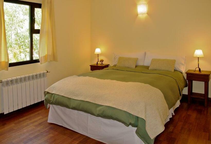 Номер Стандарт, Infinito Sur