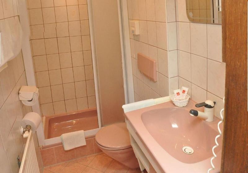 חדר סטנדרט יחיד, Zlamiholzer