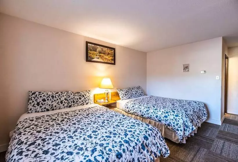 ２ダブルベッドのスタンダードルーム, Pleasant Valley Motel Houston