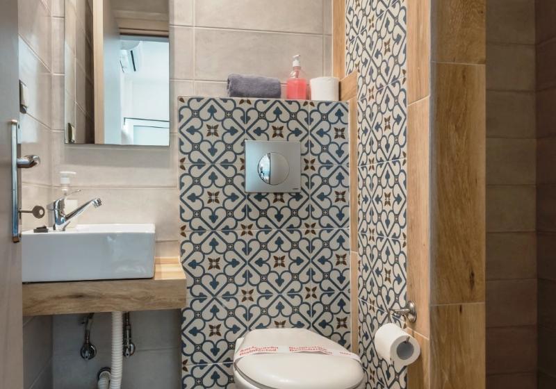 استوديو إقتصادى, Asteris Village