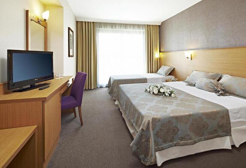 Номер Стандарт, Ayvalik Cinar