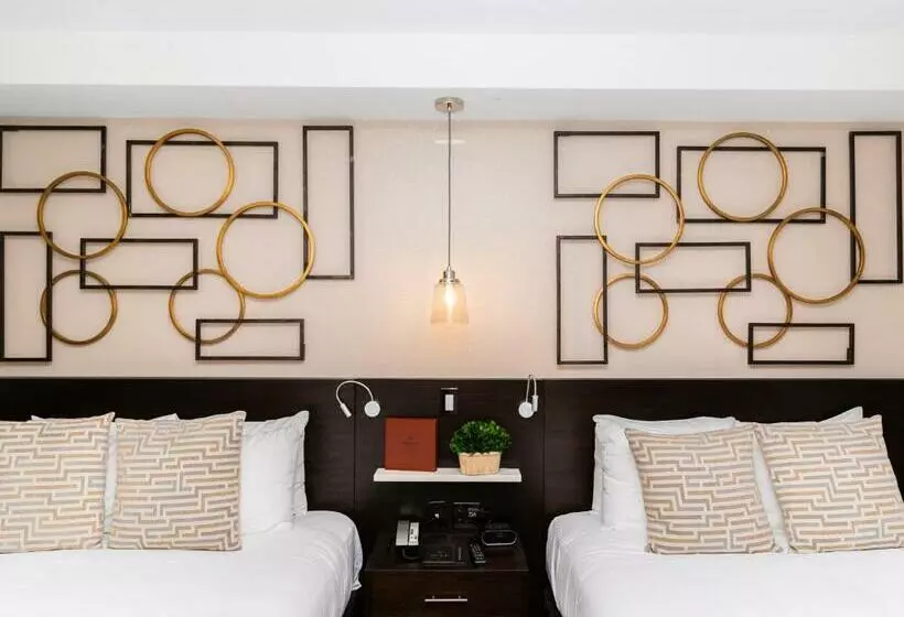 اتاق استاندارد, Iberostar Waves Berkeley Shore