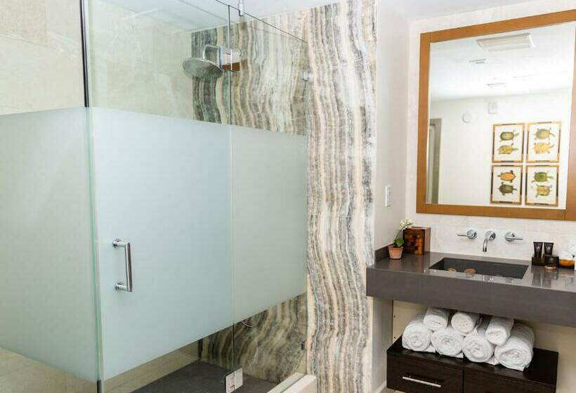 Standard-huone, Iberostar Waves Berkeley Shore