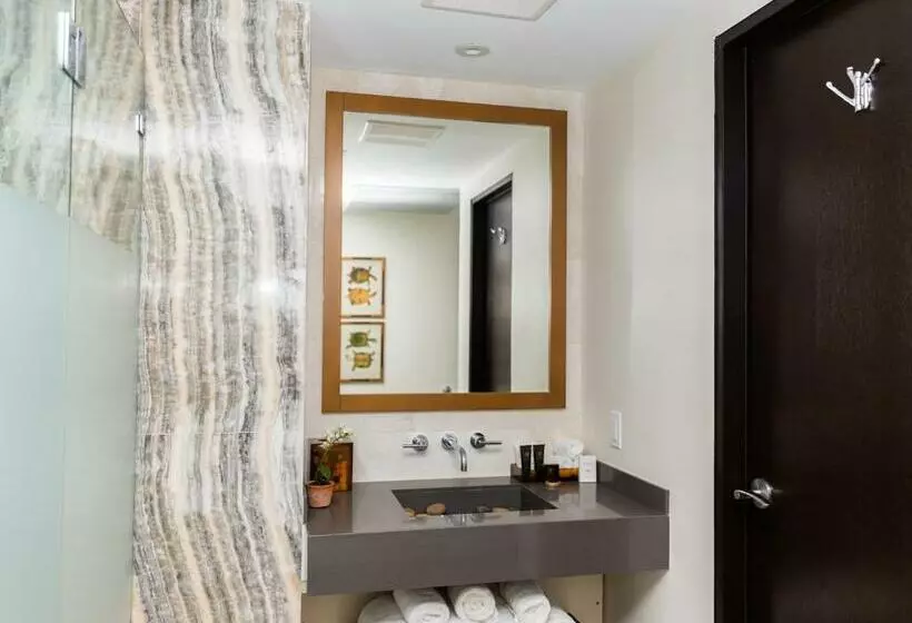 اتاق استاندارد, Iberostar Waves Berkeley Shore