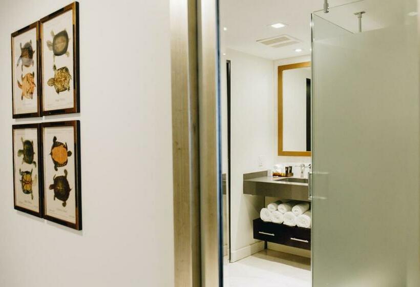 غرفة قياسية, Iberostar Waves Berkeley Shore