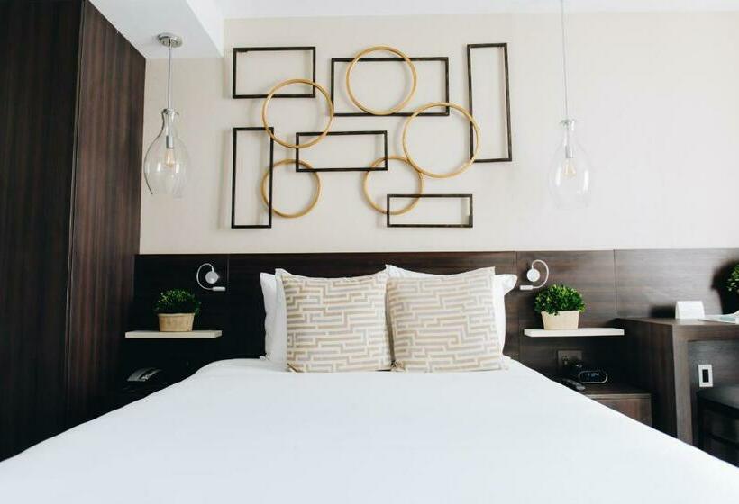 غرفة قياسية, Iberostar Waves Berkeley Shore