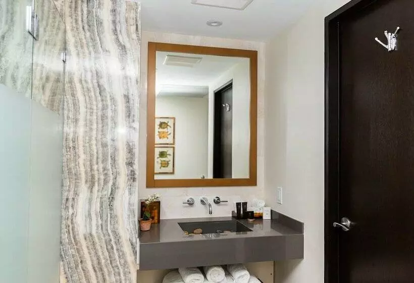 اتاق استاندارد, Iberostar Waves Berkeley Shore
