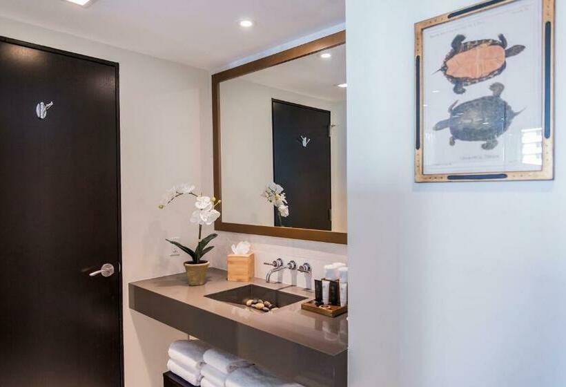 غرفة بريميوم, Iberostar Waves Berkeley Shore