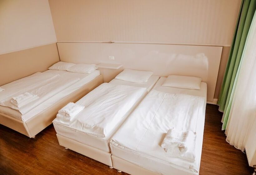 اتاق استاندارد چهار تخته, Prens Berlin