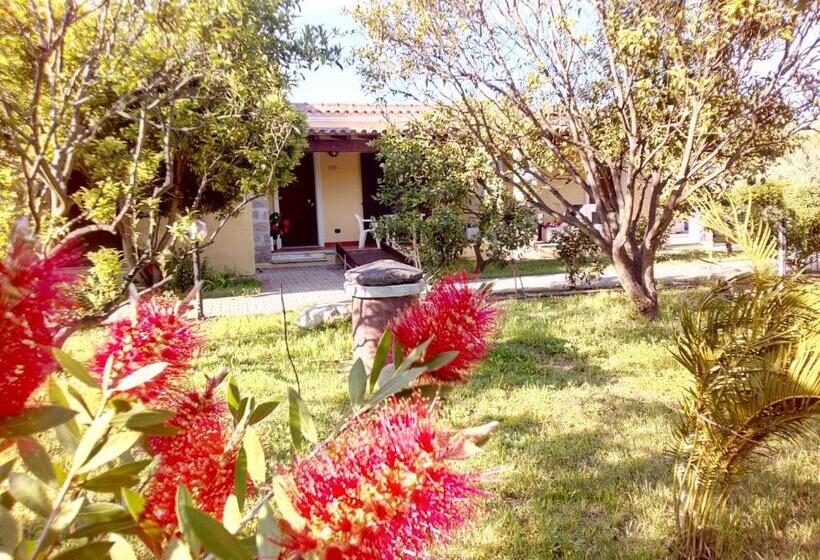 スタンダードルーム, Su Pasu