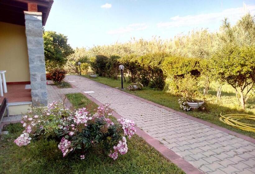 スタンダードルーム, Su Pasu