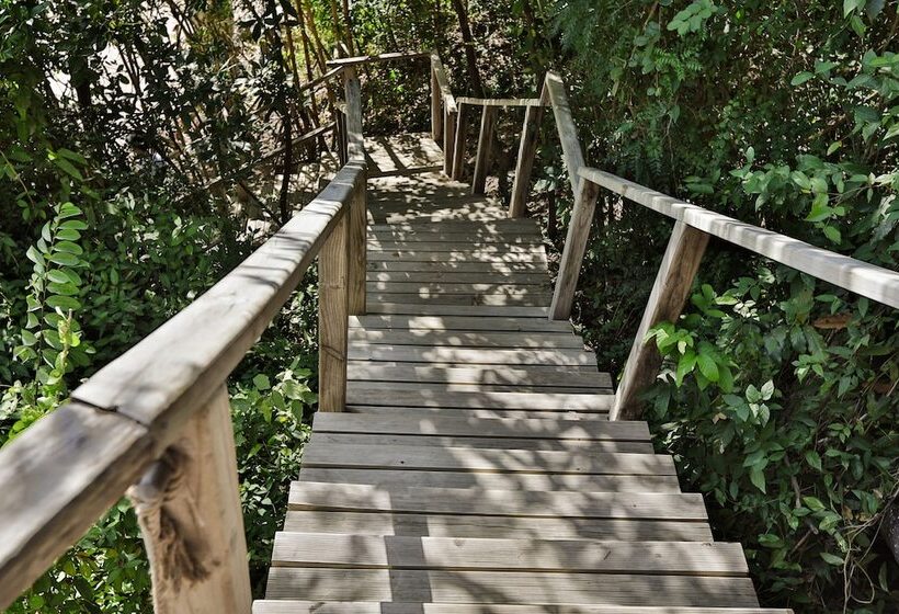 ویلای یک اتاق خوابه با استخر شنا, L Alya Ninh Van Bay