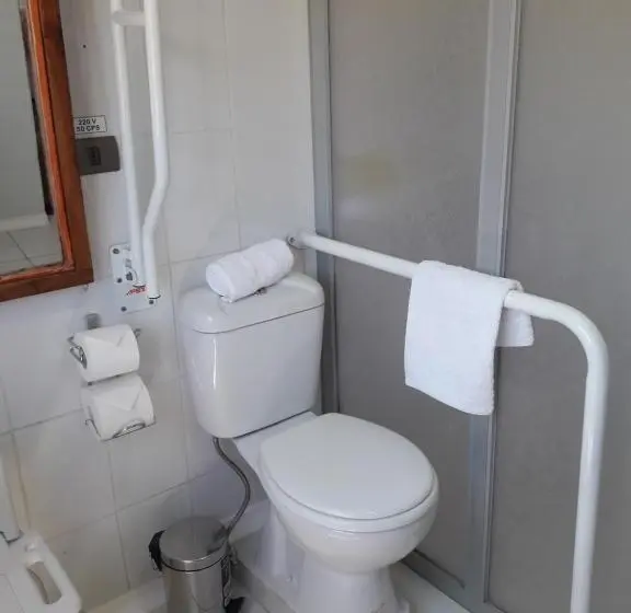 身障者適用スタンダードルーム, Eco Hotel Antuco