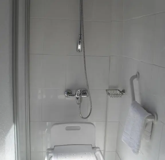 身障者適用スタンダードルーム, Eco Hotel Antuco
