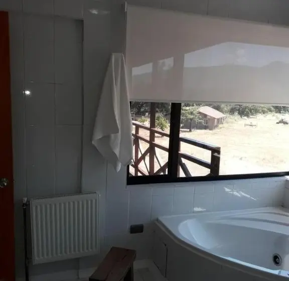 デラックスルーム, Eco Hotel Antuco