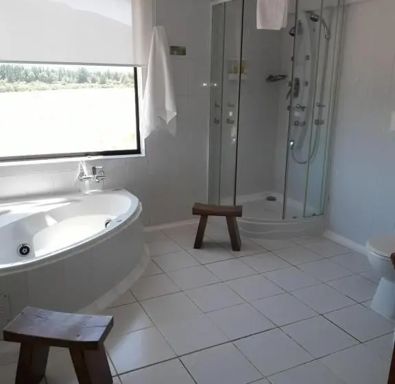 デラックスルーム, Eco Hotel Antuco