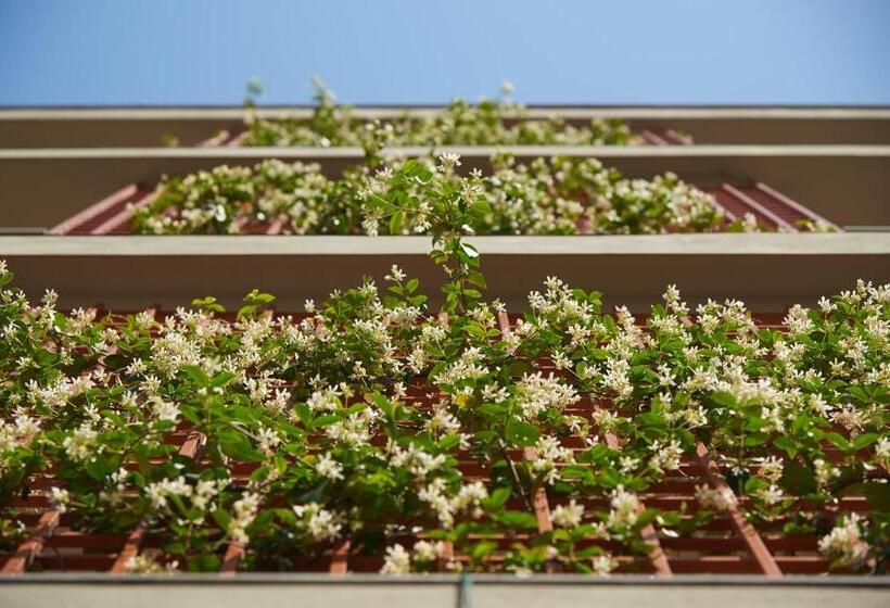 استودیوی استاندارد, Forte16 View & Spa