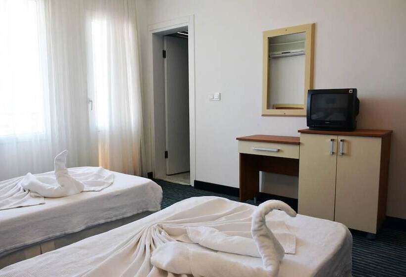 Номер Стандарт, Amphora