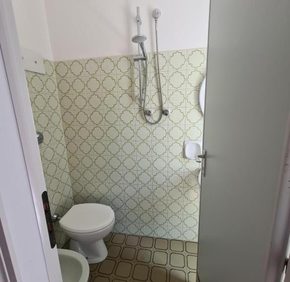 חדר אקונומי לארבעה, Camelia