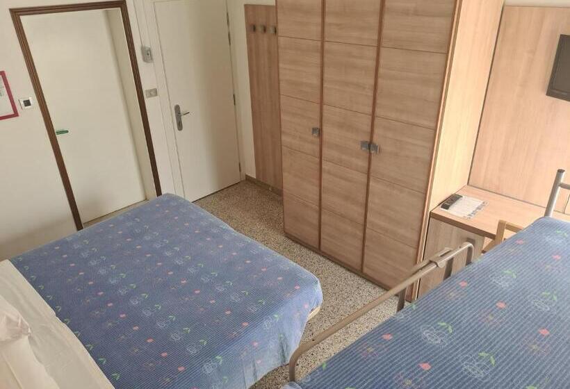 חדר אקונומי, Camelia