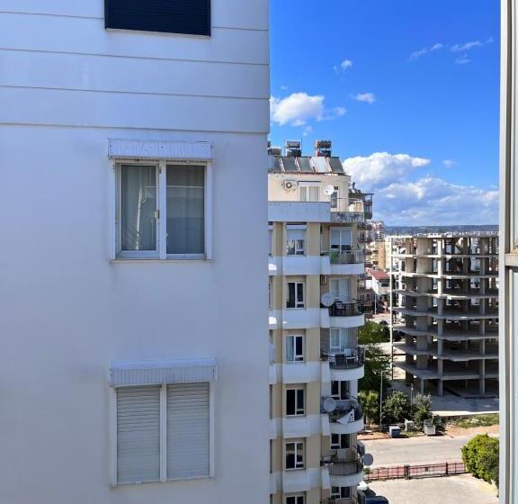 اتاق اکونومی یک تخته, Royal Hill