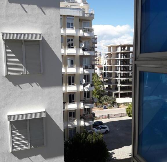 اتاق اکونومی یک تخته, Royal Hill