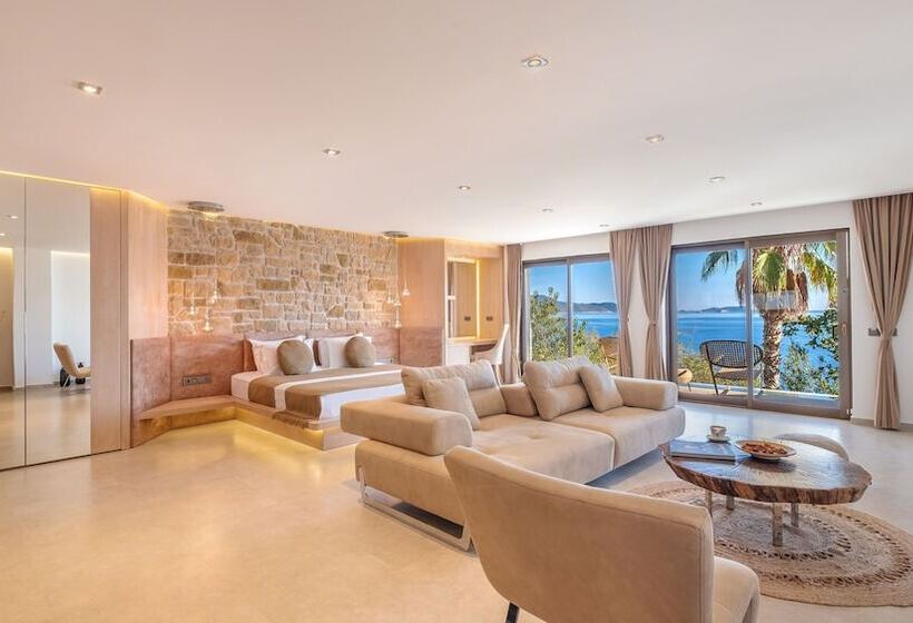 套房, Villa Hotel Tamara