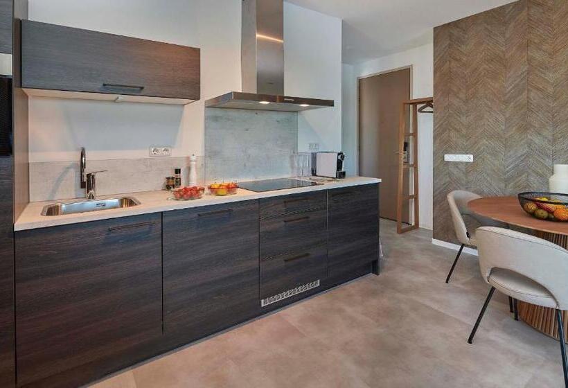 Standard studio with lake view, Parc Maasresidence Thorn Apartments