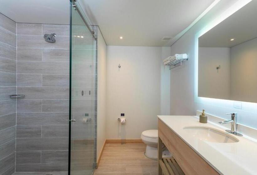 带2个双人床的标准工作室, Aquamare