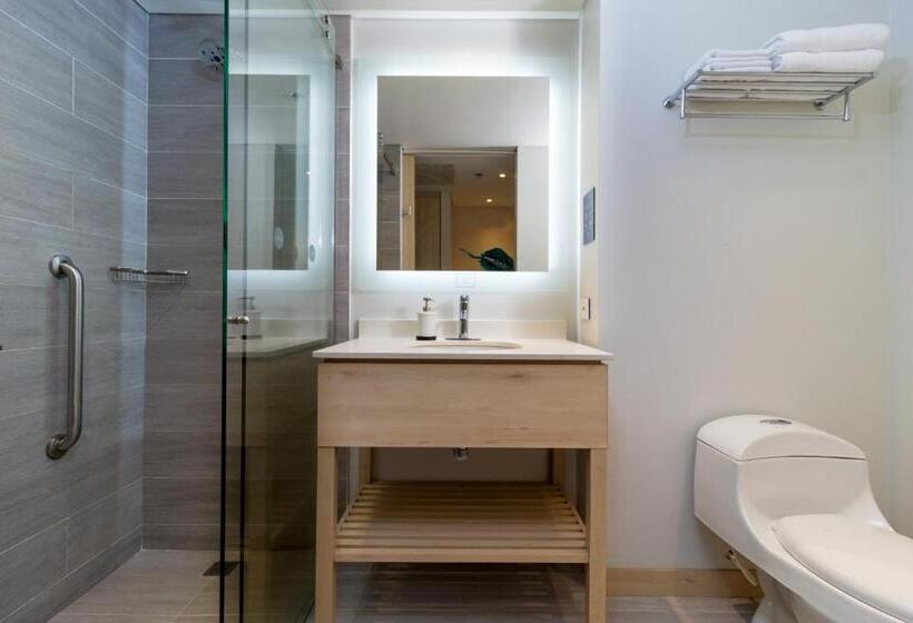 带2个双人床的标准工作室, Aquamare