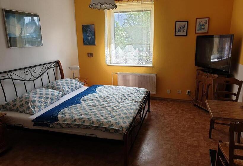 디럭스 룸, Penzion Cizku U Trebone