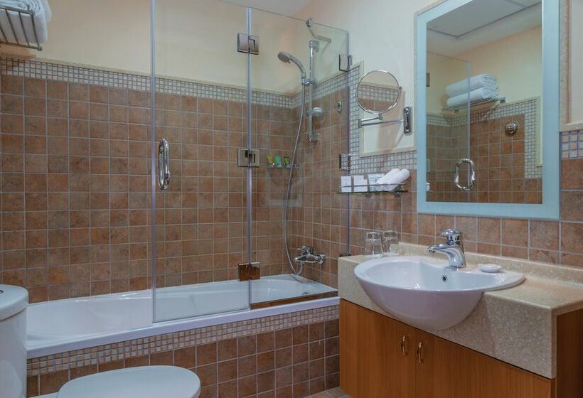 اتاق لوکس, Carlton Downtown