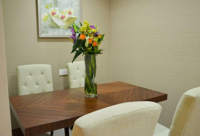 سوئیت دلوکس 2 خوابه, Carlton Downtown