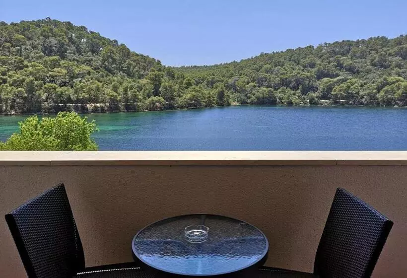 オーシャンビューバルコニー付きワンベッドルームアパートメント, Guest House Pikala
