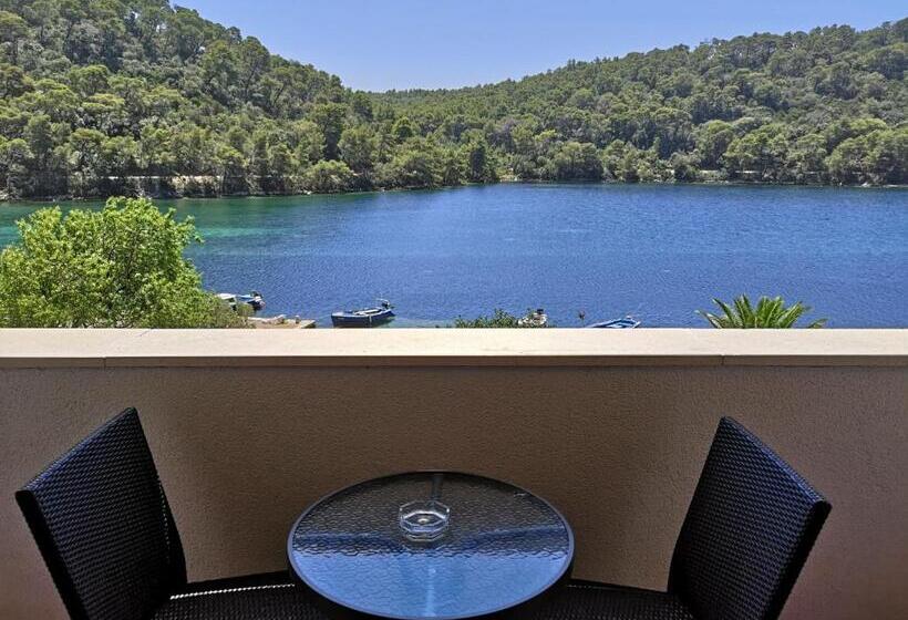 דירת חדר עם נוף לים ומרפסת, Guest House Pikala