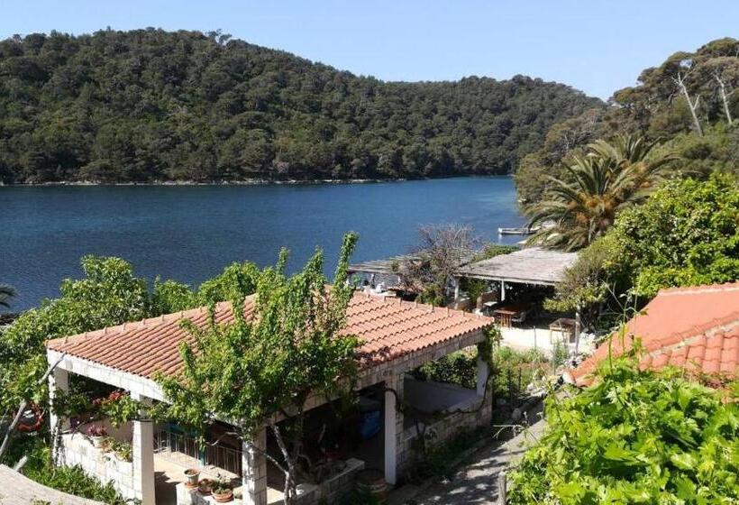 חדר סטנדרט נוף לים, Guest House Pikala