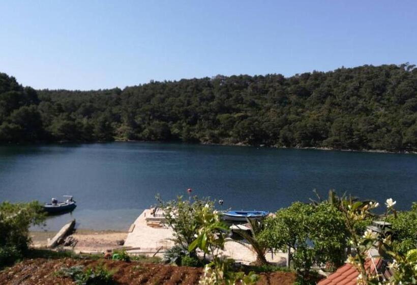 חדר סטנדרט נוף לים, Guest House Pikala