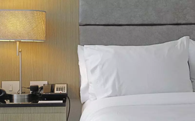 スタンダードルーム, Holiday Inn Bucaramanga Cacique, An Ihg